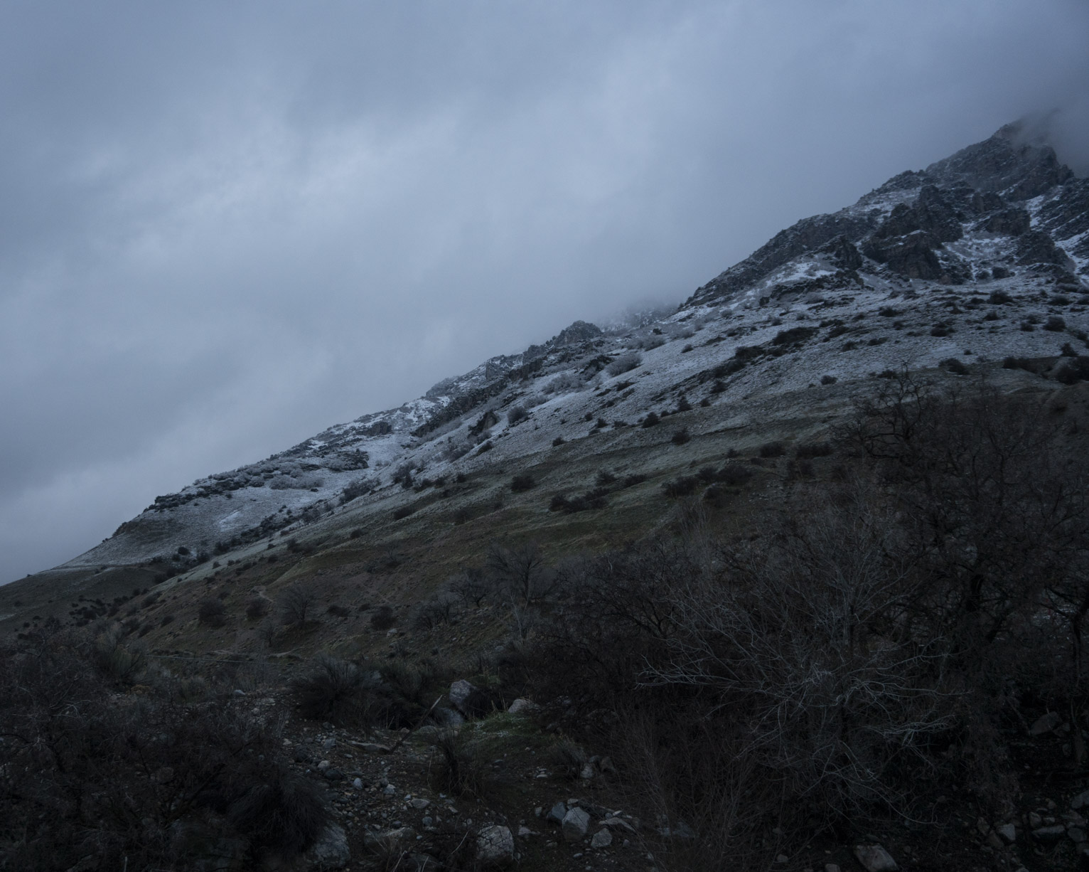 The snowfall dusts the mountainside in the morning